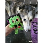 Image 6 of customer photos