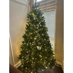 Image 3 of customer photos