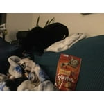 Image 3 of customer photos