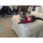 Image 4 of customer photos