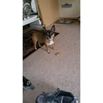 Image 1 of customer photos