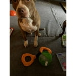 Image 3 of customer photos