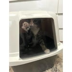 Image 7 of customer photos