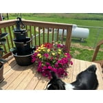 Image 2 of customer photos