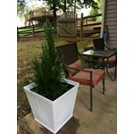Image 4 of customer photos