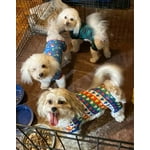 Image 3 of customer photos