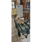 Image 1 of customer photos