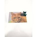 Image 4 of customer photos