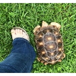 Image 3 of customer photos