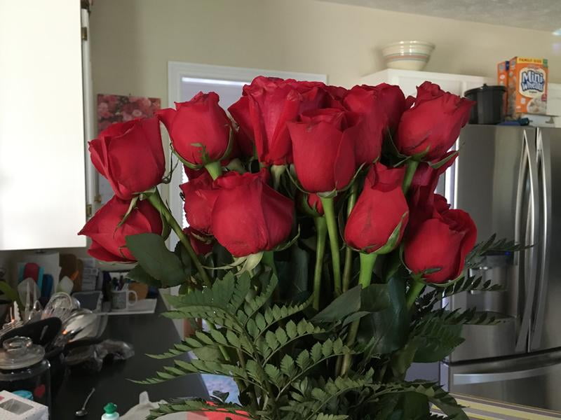 Member's Mark Classic Red Rose Vase Arrangement, 36 stems