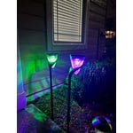 Image 2 of customer photos