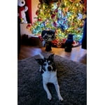 Image 3 of customer photos