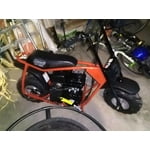 coleman powersports 100cc gas powered trail mini bike