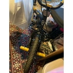 Image 6 of customer photos