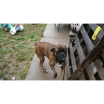 Image 6 of customer photos