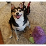 Image 1 of customer photos