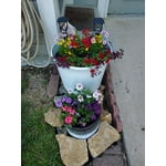 Image 3 of customer photos