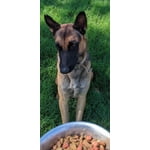 Image 5 of customer photos