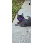 Image 5 of customer photos