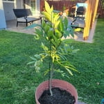 Image 7 of customer photos