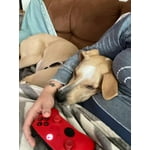 Image 4 of customer photos