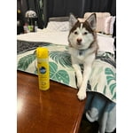 Image 3 of customer photos