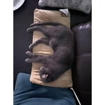 Image 6 of customer photos