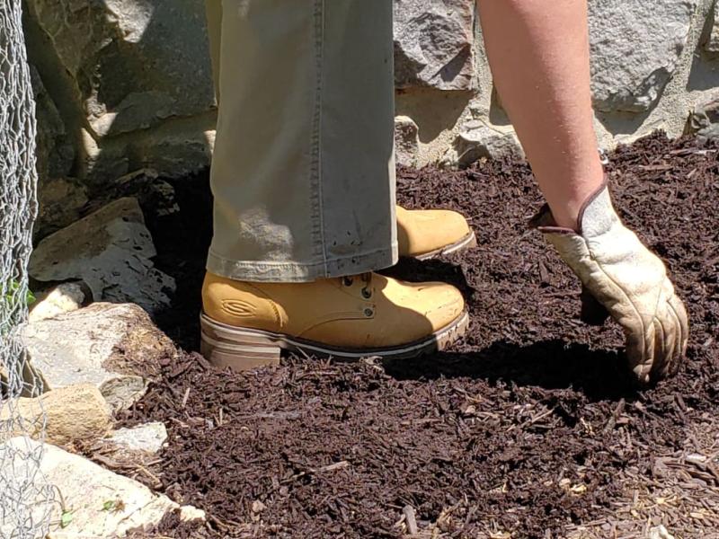 skechers laramie 2 lumberjane