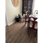 Image 4 of customer photos