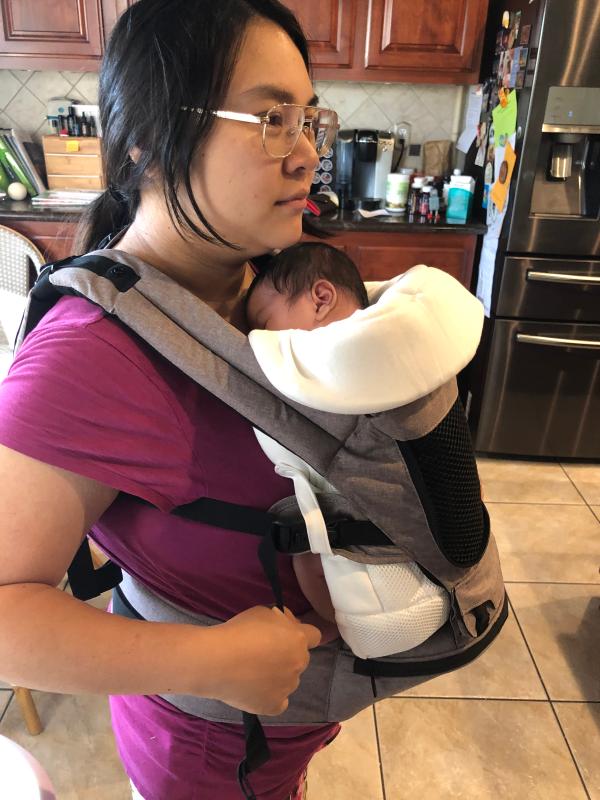 miamily hipster infant insert