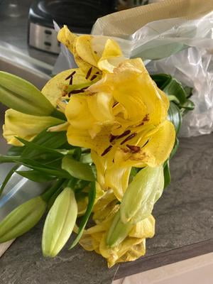 Fresh-Cut Lilies, 3 Stems, Assorted Colors for Office - Walmart