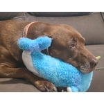 Image 7 of customer photos