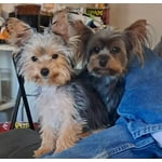 Image 4 of customer photos