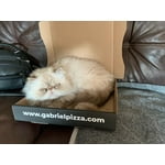 Image 6 of customer photos