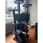 Image 6 of customer photos
