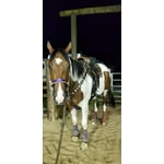 Image 5 of customer photos