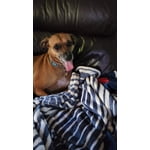 Image 4 of customer photos