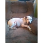 Image 6 of customer photos