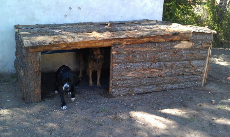 akoma dog house air conditioner