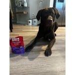 Image 3 of customer photos