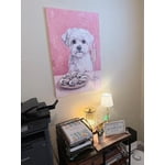 Image 5 of customer photos