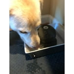 Image 6 of customer photos