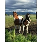 Image 2 of customer photos