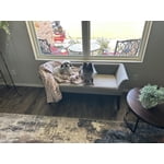Image 2 of customer photos
