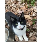 Image 6 of customer photos