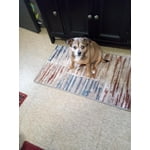 Image 1 of customer photos