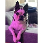 Image 5 of customer photos