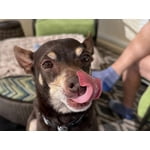 Image 3 of customer photos