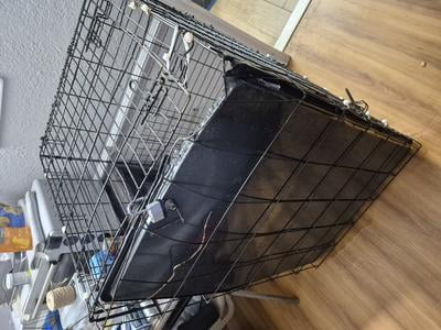 【未開封】ゲベ　dog　2体セット Vibrant Life Foldable 2-Door 22
