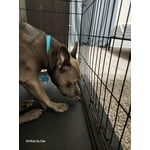 Image 5 of customer photos